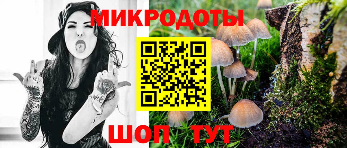 Галлюциногенные грибы Psilocybine cubensis  Псилоцибиновые грибы прущие грибы  Вход с VPN  Углич 