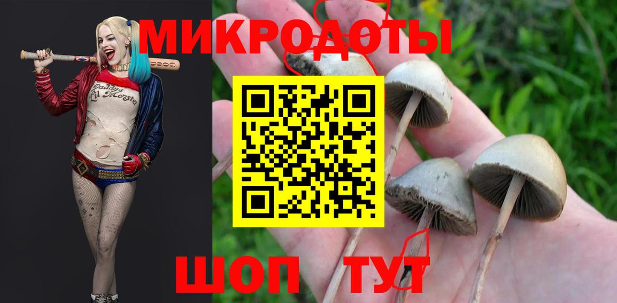 Псилоцибиновые грибы Cubensis Углич